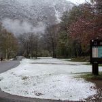 ５月の雪