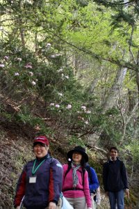 180512_flowertreck