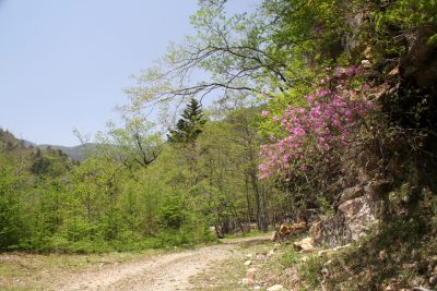 180516_tougokumituba