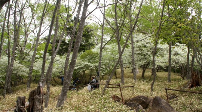 赤岩滝・男体山・男体山