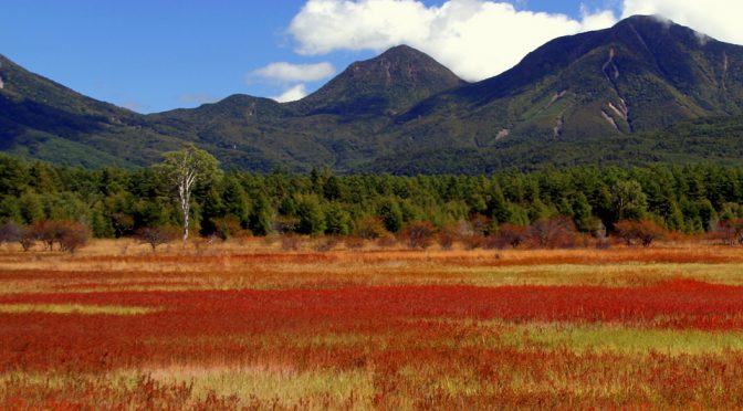 草紅葉ツアー、今年もやります。