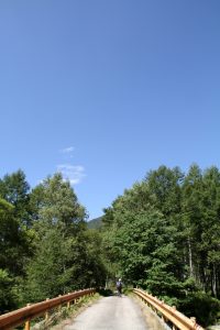 180803_azamibasi