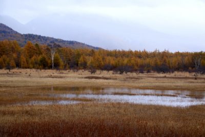 181023_odasiroike