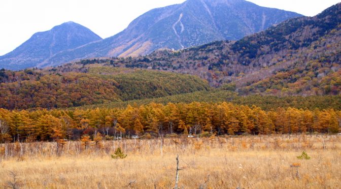 冷えて進んで、地上波に登場