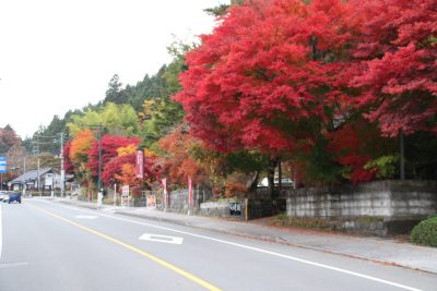 181108_rekisikan