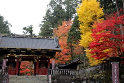 181108_taiyuuin