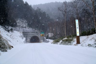 181123_konsei_gunma