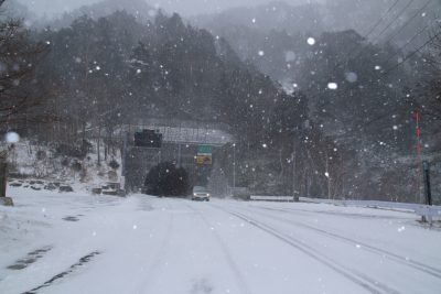181123_konseitunnel_totigi