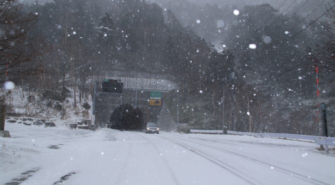 金精道路は湯元より高いのっ！！