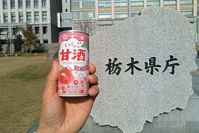 181204_itigoamazake