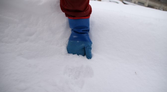 救いの雪っ！