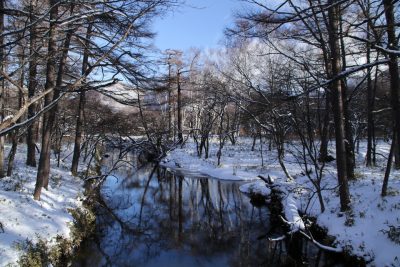 181231_yukawa
