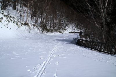 190131_xcski