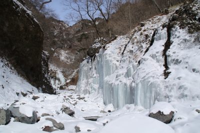 190128_tomosirazu