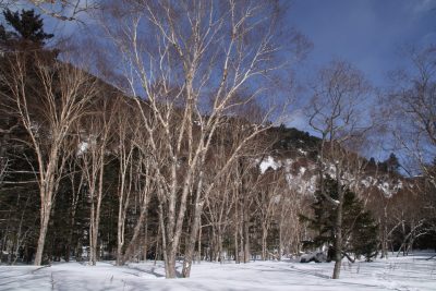 190212_dakekanba
