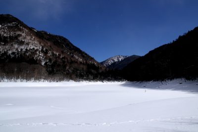 190212_karikomiko