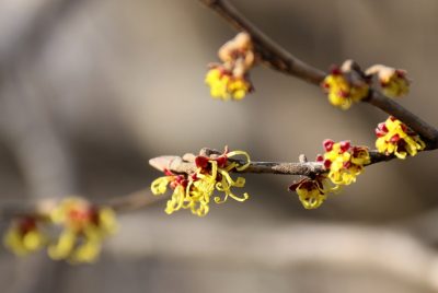 190301_mansaku