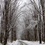 春の雪景色