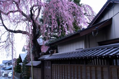 190408_takadake