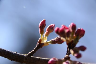 190416_up1