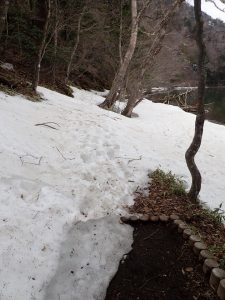 190421_yunoko