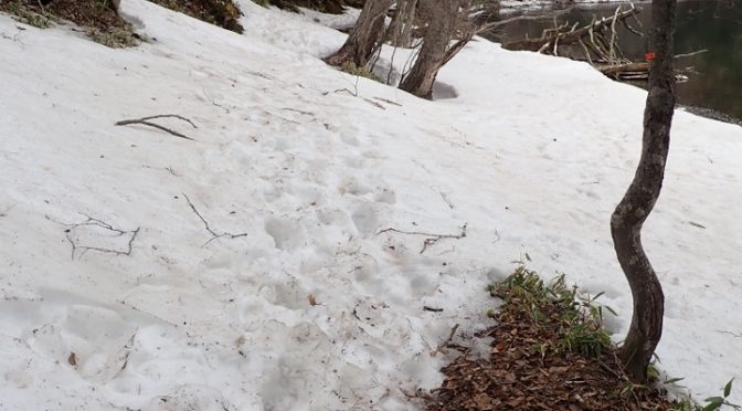 アチコチ残雪状況