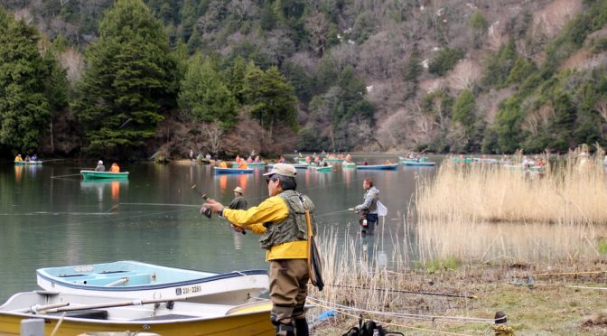 解禁は令和元年初日