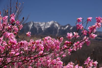 190508_akanagi