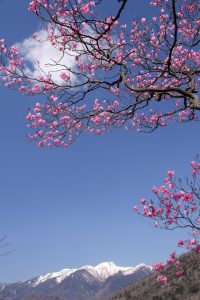 190508_sirane2