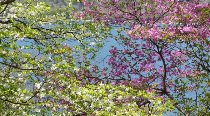 中禅寺湖北岸３連荘