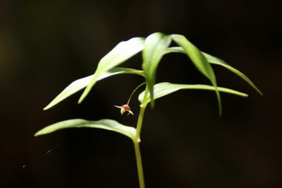 190530_takesimaran