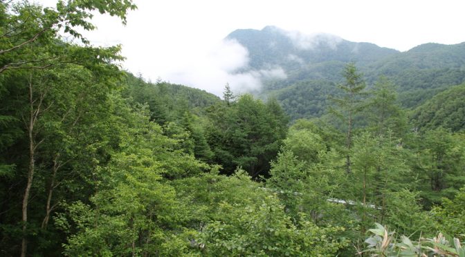 工事が済んで山王林道