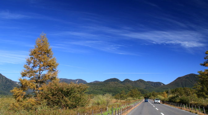 2019年も日光の紅葉追いかけるよ～！