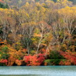 奥日光全域が紅葉見頃だとっ！？