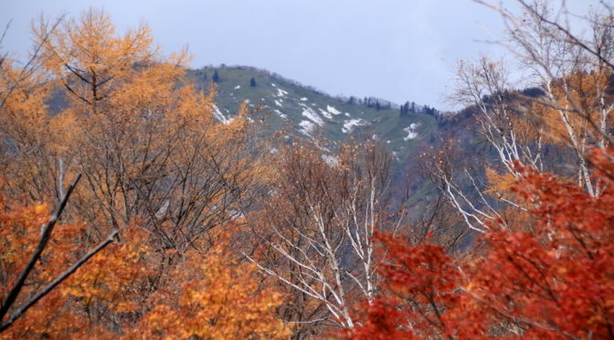 2019男体山閉山と雪