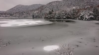 b385c130fb036d54234dbafa3390138d