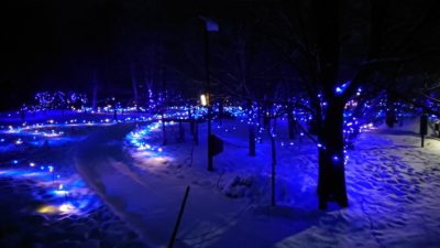 158020270316305397417156426708584.jpg