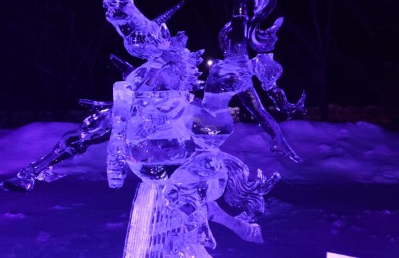 氷彫刻奥日光大会 2020