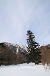 200210_skierea
