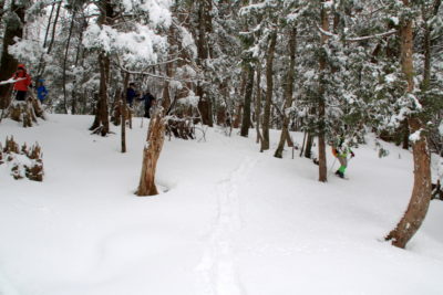 200226_snowshoue