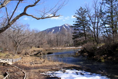 200311_izumiyado