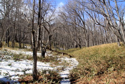 200311_yukawaugan