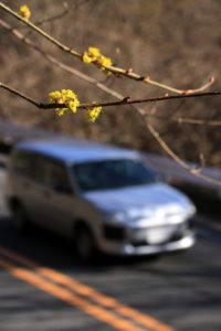 200312_dankoubai