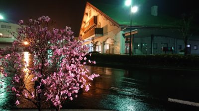 200328_ekimae_akayasio