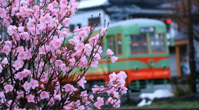 日光軌道、帰り咲く