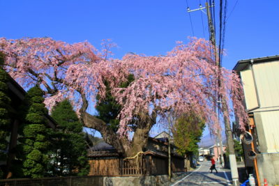 200404_takadake