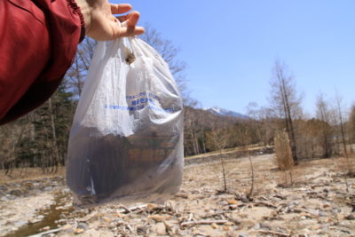 200502_gomi