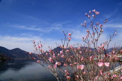 200503_akayasio-3