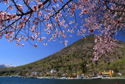 200514_sakuranantai