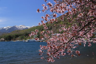 200514_saurasirane